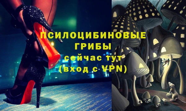 соль курить ск Алзамай