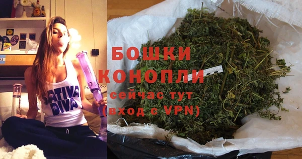 бошки Слюдянка
