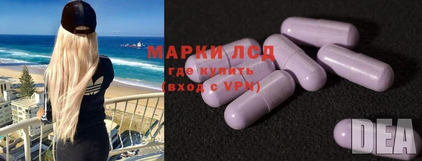 твердый Снежногорск