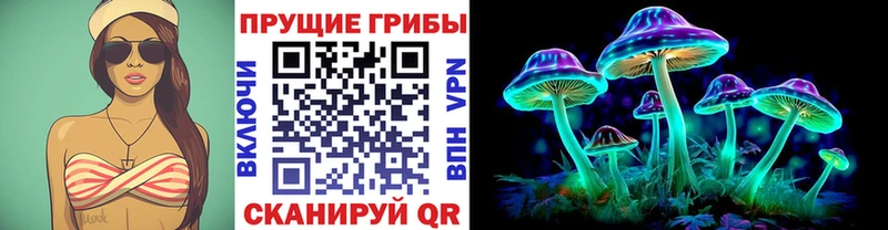 Псилоцибиновые грибы мицелий Андреаполь